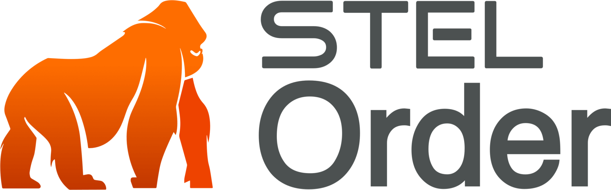 StelOrder Logo